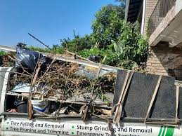 Best Same-Day Junk Removal Services  in Paulding, OH