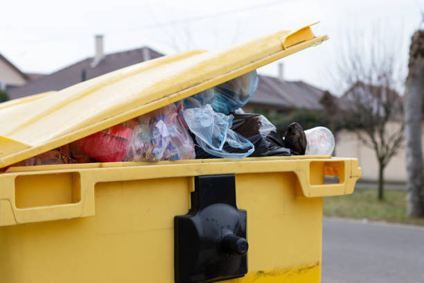 Best Junk Removal for Events  in Paulding, OH
